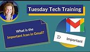 What is the Important Icon in Gmail?