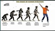 Trick To Learn Evolution Of Humans || Stages Of Human Evolution || NEET & AIIMS