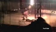 Bengal tiger attacks to death circus trainer in front of audience
