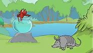 The Cat in the Hat:Fish Facts: Armadillo