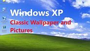 Windows XP Classic Wallpapers and Sample Pictures