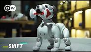 Can Robotic Pets replace Real Pets? | Robot Pets Japan | Aibo, Qoobo, Lovot