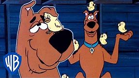 Scooby-Doo! | Scooby & The Baby Chick | WB Kids