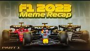 F1 2023 Season MEME Recap