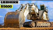 The World’s Biggest Excavator in Action (LIEBHERR R 9800 Excavator Loading Trucks)