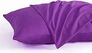 NTBAY Standard Pillow Cases Set of 2, 2 Pack Brushed Microfiber 20x26 Pillow Cases, Soft, Wrinkle, Fade, Stain Resistant Purple Pillow Cases with Envelope Closure, 20x26 Inches, Purple