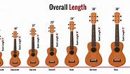 The 8 Ukulele Sizes (with Comparison Chart) 2024 - Guitar Lobby