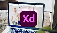 Best Adobe XD Templates for Web Designers | Envato Tuts