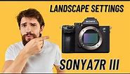 Sony A7R III Landscape Camera Settings