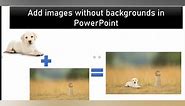 Add Images without Backgrounds to a Slide