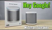 Mi Smart Speaker Full Review