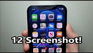 iPhone 12 / 12 Pro Max / Mini How to Screenshot!
