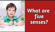 senses/Work Sheet/What are the five senses/Activity Sheet # 1