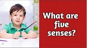 senses/Work Sheet/What are the five senses/Activity Sheet # 1