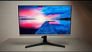 Samsung 24" FHD LED Monitor - Great Monitor on a Budget!