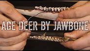How to Age Deer by Their Teeth and Jawbone