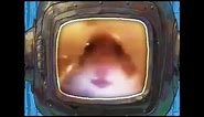 Hamster Staring At Face Camera Meme