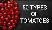 50 Types of TOMATOES | SelfLove