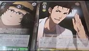 Steins Gate and Persona 5 Card Collection!