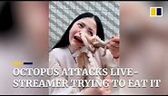 Octopus attacks live-streamer as she tries to eat it alive in China