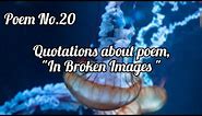 Quotations about poem,"In Broken Images"1st year poem No.20 quotes