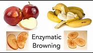 Why Do Apples and Bananas Turn Brown? - STEM activity
