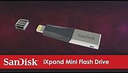 The iXpand Mini Flash Drive for iPhone | Official Product Overview