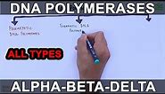DNA Polymerases | Prokaryotic | Eukaryotic | Viral