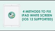 4 Methods to Fix iPad White Screen [iOS 16 Supported]