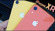 Apple iPhone XR: Coral or Yellow?