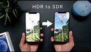 How to FIX iPhone 12 Overexposed HDR Videos! (feat. @KDCloudy )
