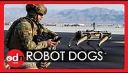 ‘Unstoppable’ Robot Dogs Join US Air Force