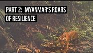 Part 2 | Myanmar's Tigers in Transition & Overcoming Hurdles | WWF-Myanmar