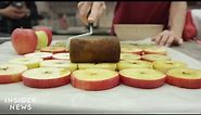 How Apples Are Made In A Lab