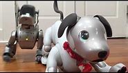 Old Aibo vs New Aibo: ERS-110 and ERS-1000