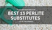 Best 13 Perlite Substitutes in Gardening (and the Worst) | Your Indoor Herbs and Garden