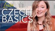 Learn the Basics: Czech