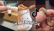 Snake Side Of TikTok