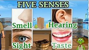 The 5 Senses: Sight, Hearing, Taste, Smell and Touch, Preschool and Kindergarten Activities
