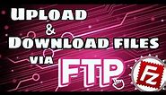 How to Upload and Download Files via FTP