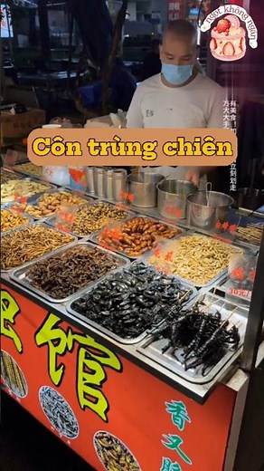 Ăn Côn Trùng Chiên Ở Trung Quốc – Rết, Bọ Cạp, Nhện Có Gì Ngon?