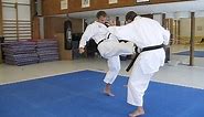 KARATE - Tiger Karate - Shotokan and mix of martial arts