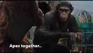 Rise of the Planet of Apes [Apes Together Strong]