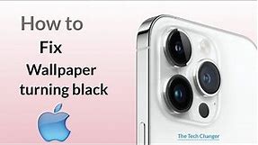 How to Fix Wallpaper turns black on your iPhone (2023)