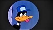 The Daffy Duck Profile Picture