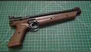 $50 Pellet Gun From Walmart...Crosman "American Classic" Pistol