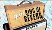 Vintage 1962 Fender Reverb Unit - The KING of reverbs!!!