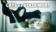 Cats vs Voldemort | Kittisaurus