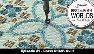 Best of Both Worlds 41 - Cross stitch quilt