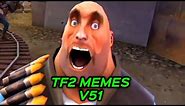 TF2 MEMES V51